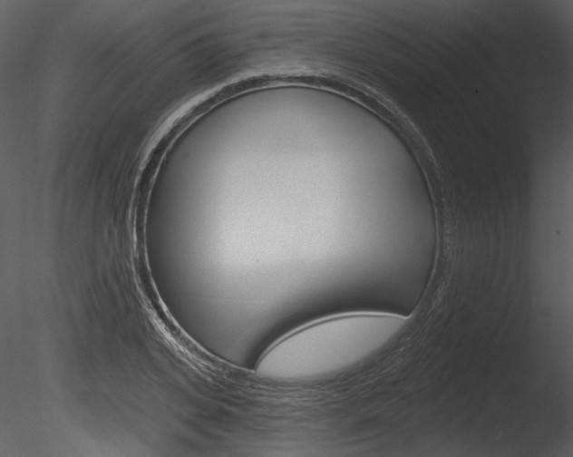 X0000085770935200703160929