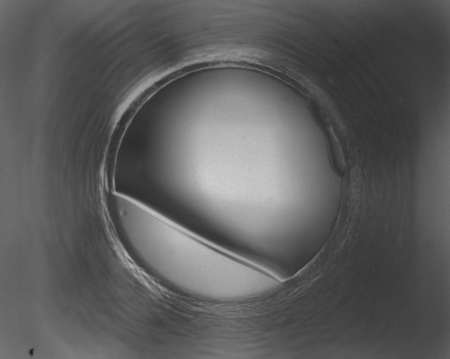 X0000085770936200703160929