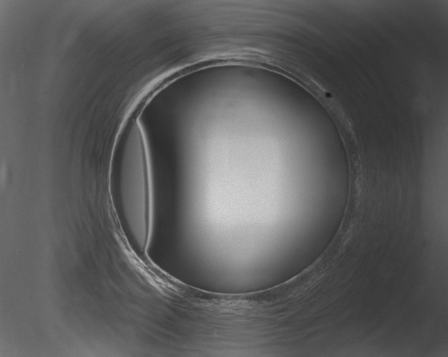 X0000085770940200703160929