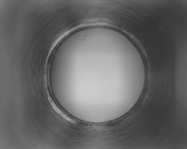 X0000085770941200703160929