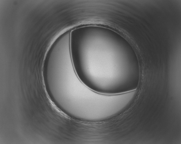 X0000085770942200703160929