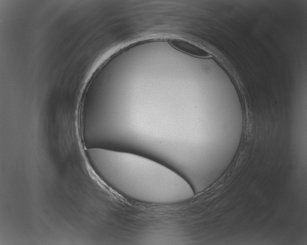 X0000085770958200703160929