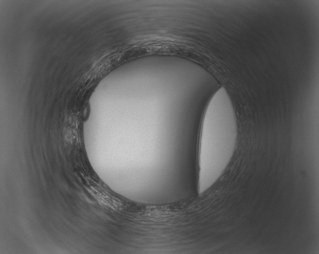 X0000085770964200703160928