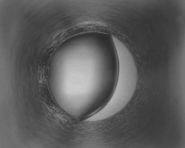 X0000085770965200703160928