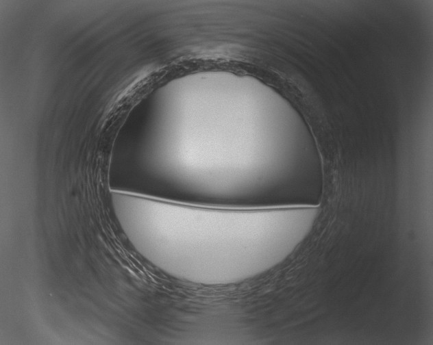 X0000085770968200703160928
