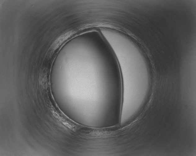 X0000085770977200703160928