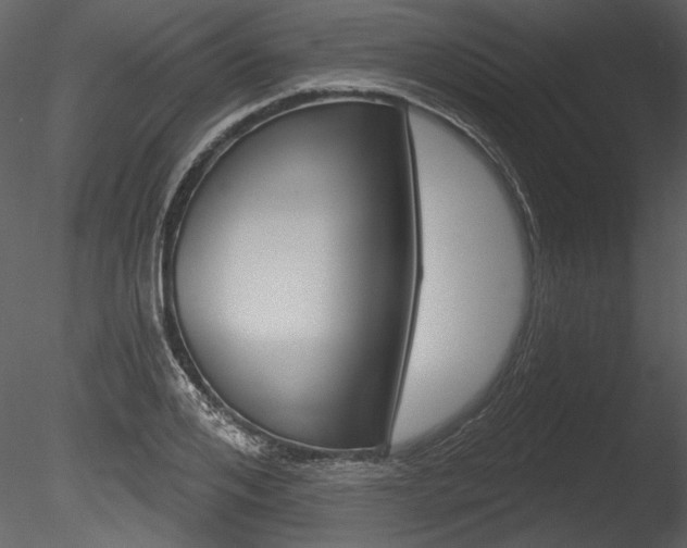 X0000085770984200703160928