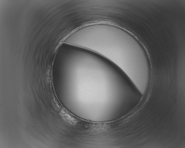 X0000085771001200703160928