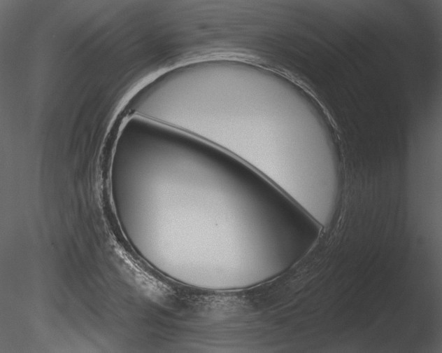 X0000085771024200703160927