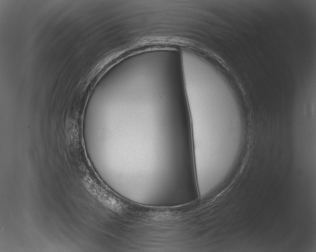 X0000085771025200703160927
