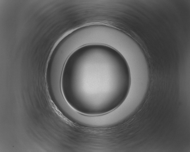 X0000085771036200703160927