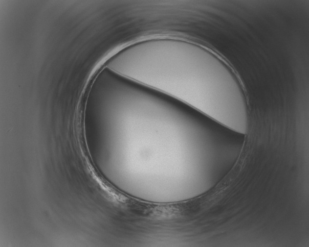 X0000085771053200703160927
