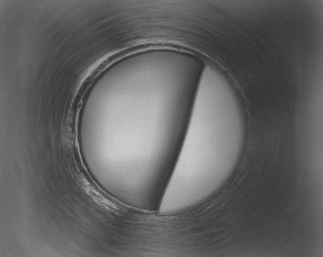 X0000085771068200703160926