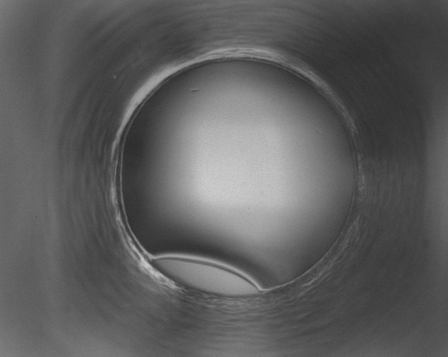 X0000085771102200703160926