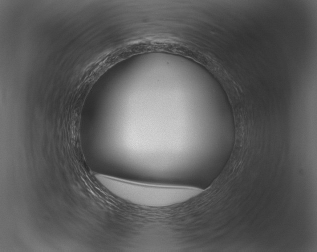 X0000085771110200703160925