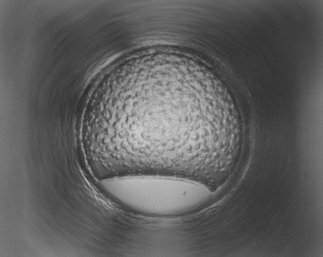 X0000085771113200703160925