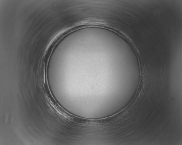 X0000085771123200703160925