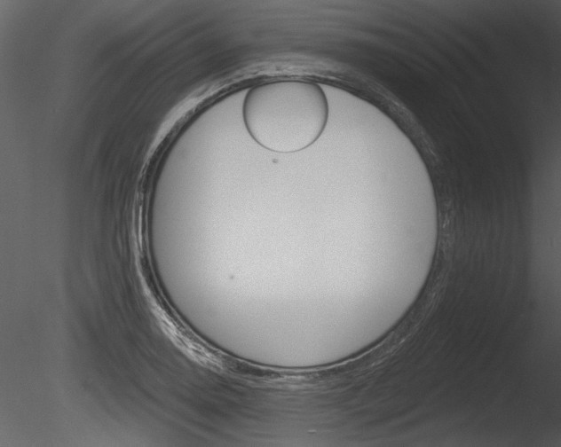 X0000085771130200703160925
