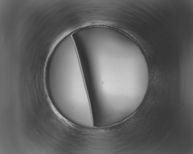 X0000085771135200703160925