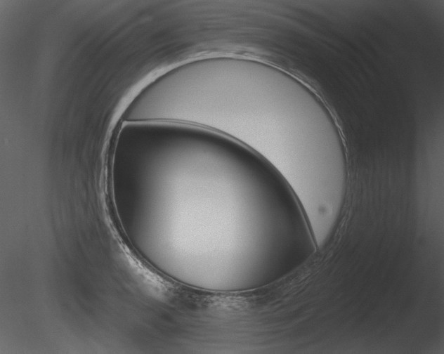 X0000085771136200703160925