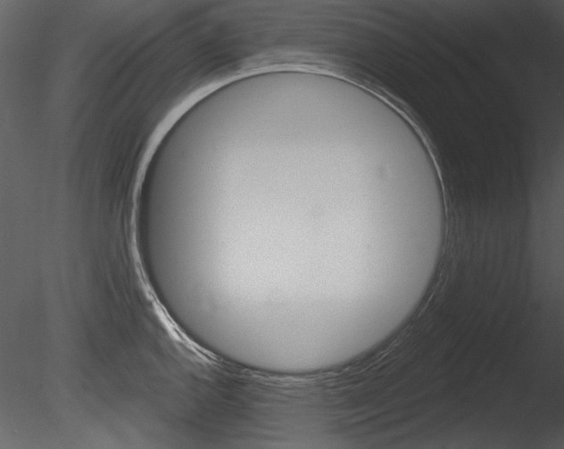 X0000085771144200703160926