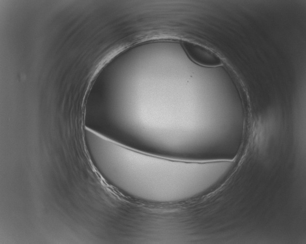 X0000085771145200703160926