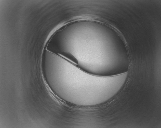 X0000085771146200703160926