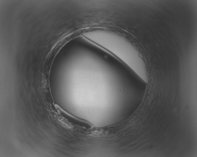 X0000085771160200703160925