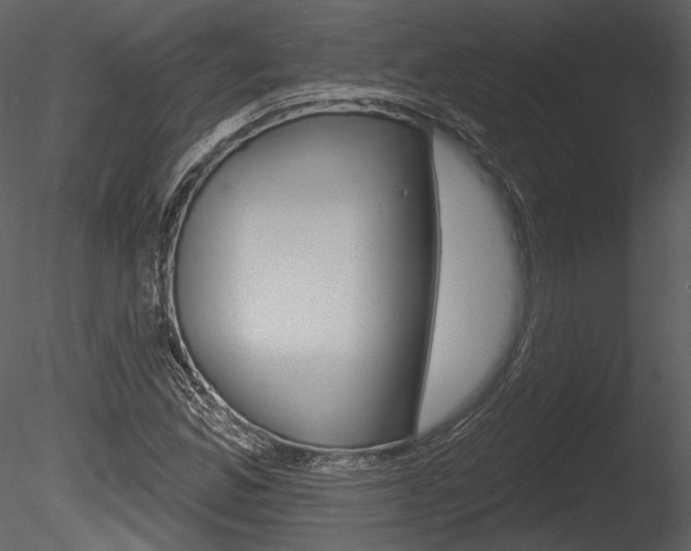 X0000085771165200703160925