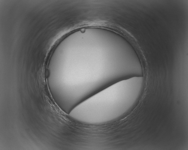 X0000085771174200703160925