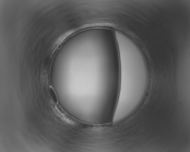 X0000085771177200703160925