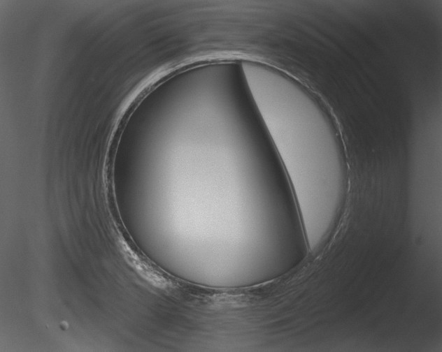 X0000085771181200703160924