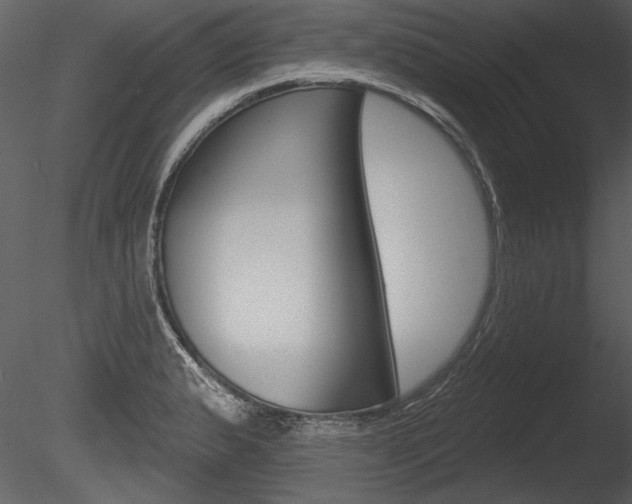 X0000085771183200703160924