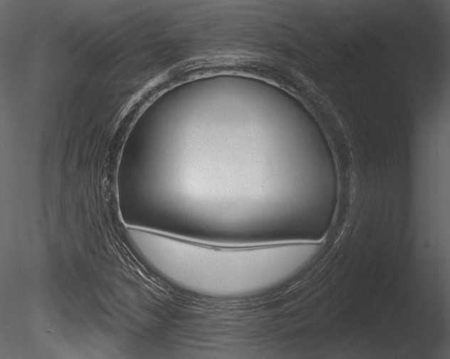 X0000085771210200703160923