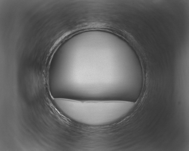 X0000085771212200703160923