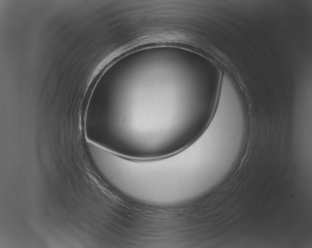 X0000085771226200703160924