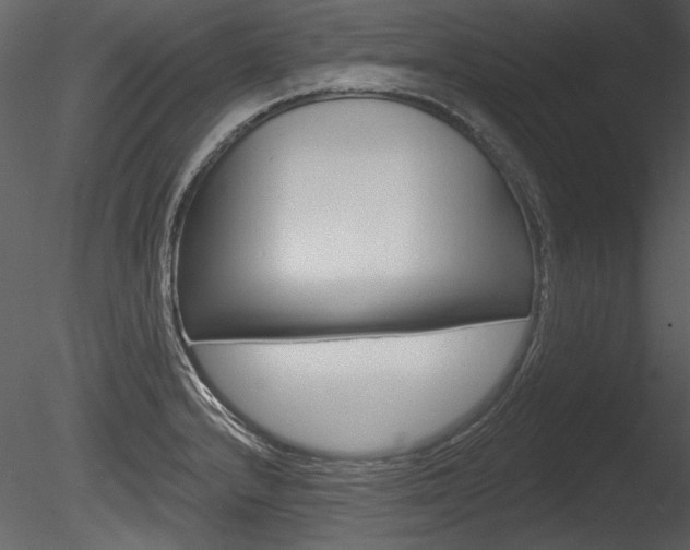 X0000085771232200703160924