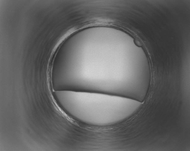 X0000085771235200703160924
