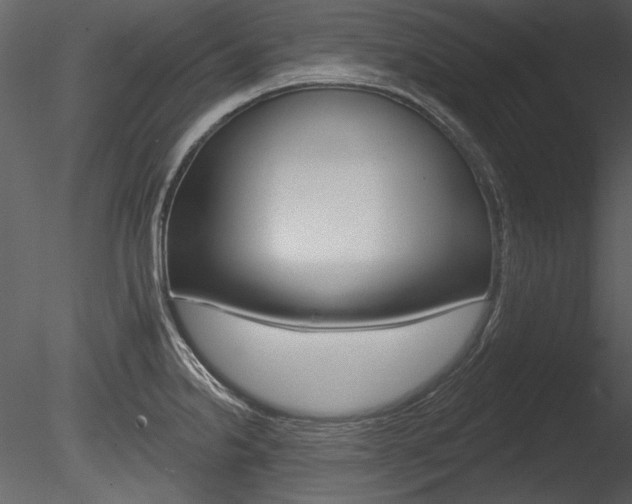 X0000085771238200703160924