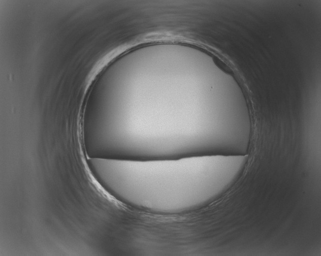 X0000085771239200703160924