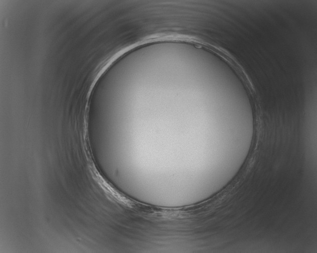 X0000085771244200703160924