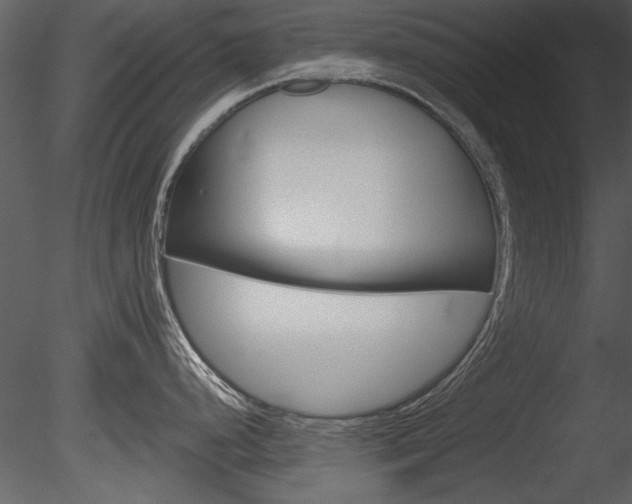 X0000085771248200703160924