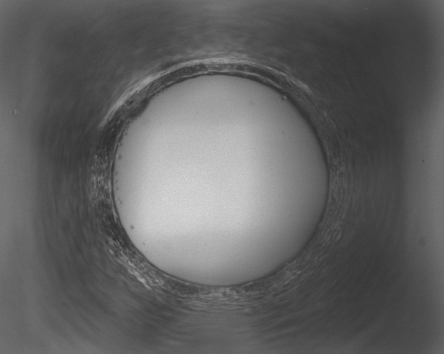 X0000085771255200703160923