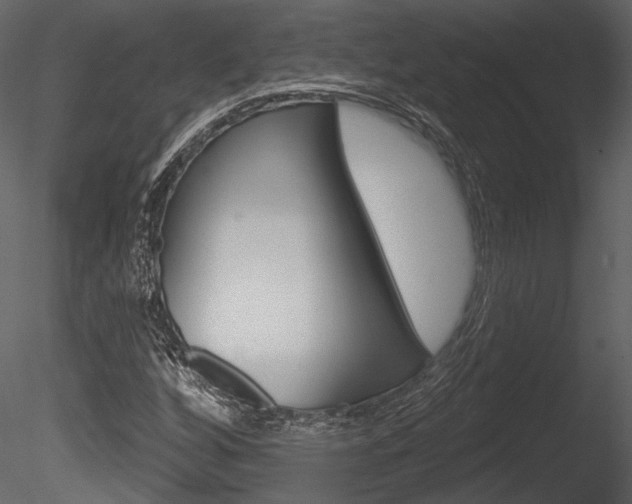 X0000085771256200703160923