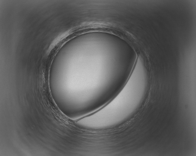 X0000085771261200703160923