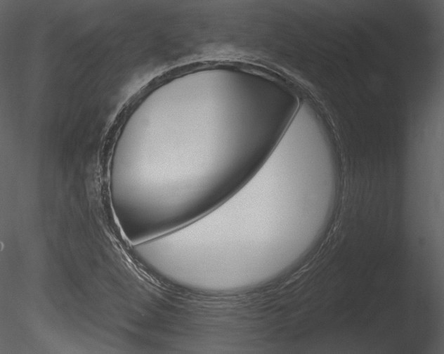 X0000085771264200703160923