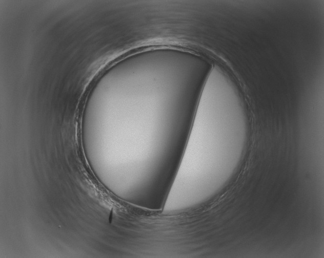 X0000085771268200703160923