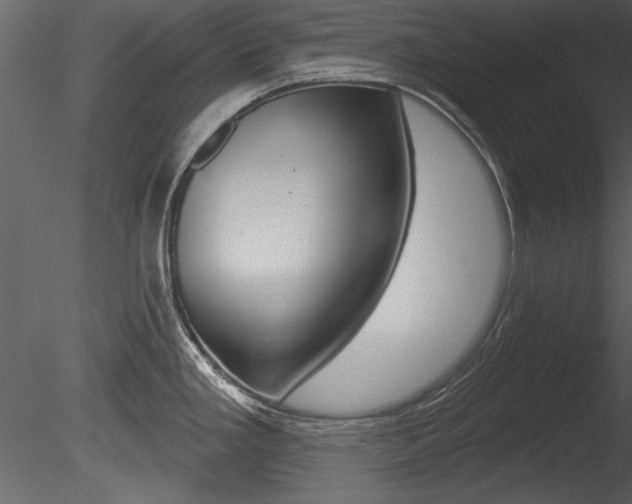 X0000085771293200703160923