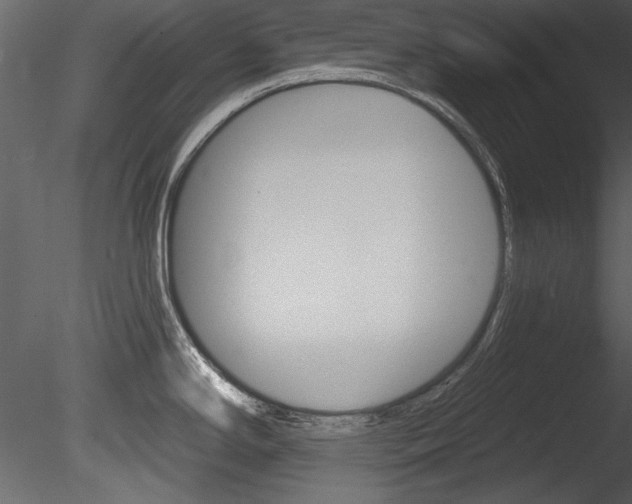 X0000085771294200703160923