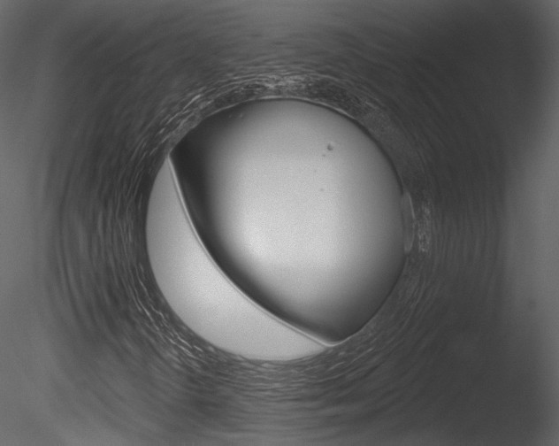 X0000085771298200703160922